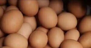 Azumin Ramadan Kwai ya gagari talaka a Sokoto